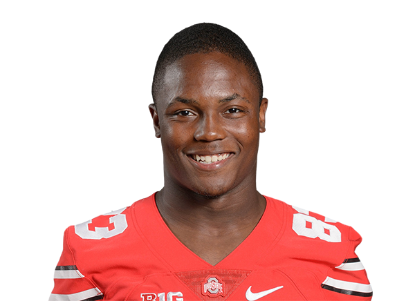 Terry McLaurin headshot
