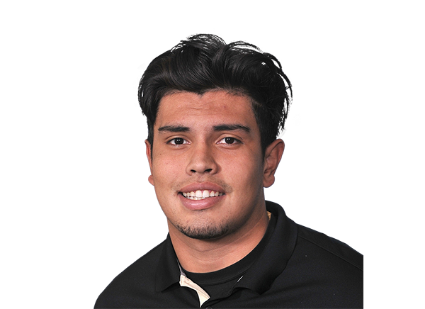 Rick Gamboa headshot
