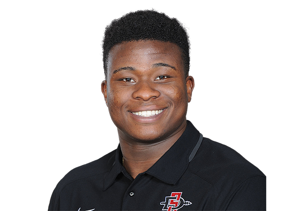 Chibu Onyeukwu headshot