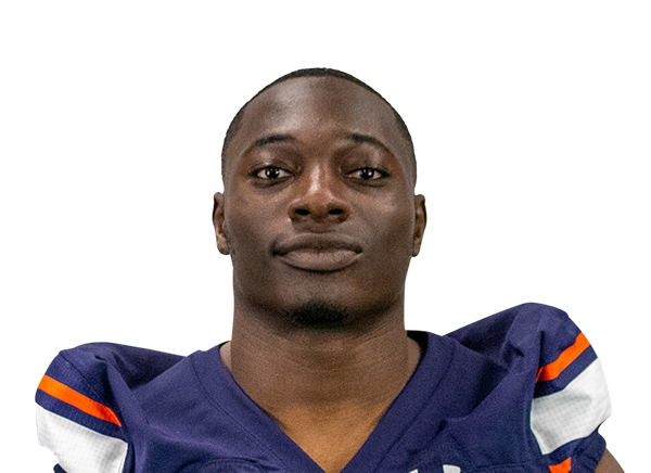 David Adeleke headshot