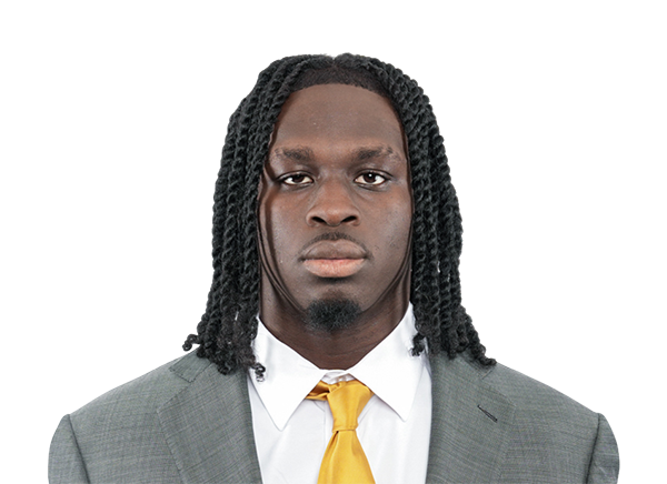 Steven Sannieniola headshot