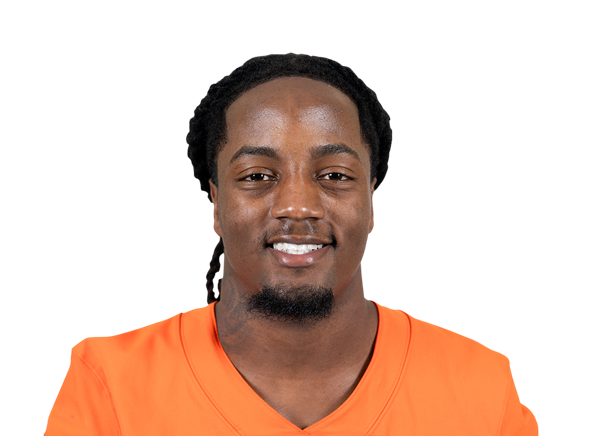 Dion Villiers headshot