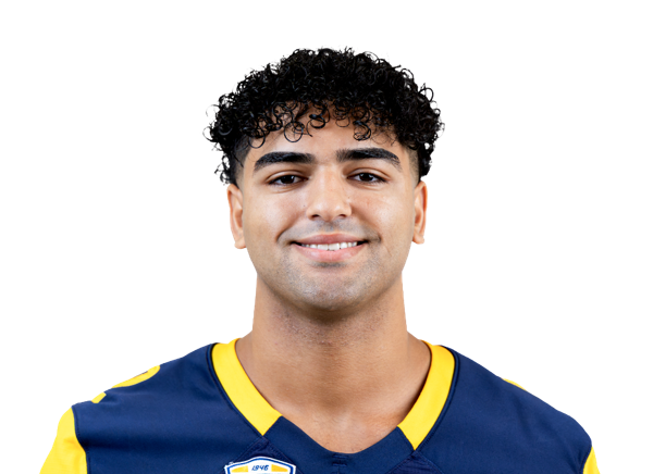 Sayed Abuhamdeh headshot