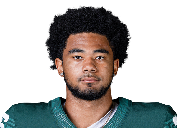 Brandon Lewis headshot