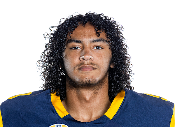 Jaihien Roy headshot