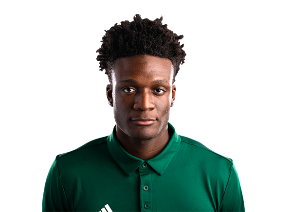 Emmanuel Olojakpoke headshot