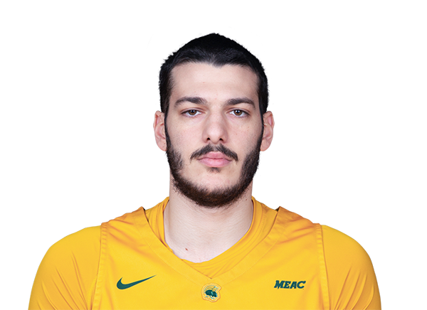 Efstratios Kalogerias headshot