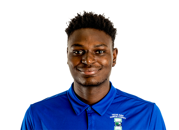 Stephen Faramade headshot