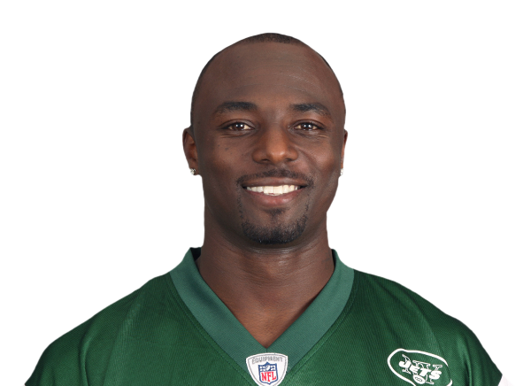 Santonio Holmes headshot
