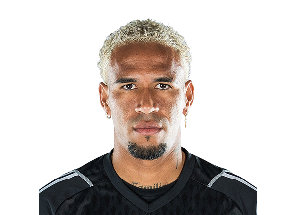 Pedro Gallese headshot