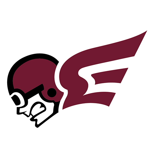 Erskine Flying Fleet logo