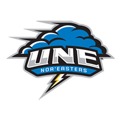 New England Nor'easters logo