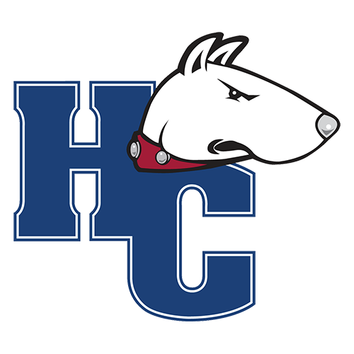 Hiram Terriers logo