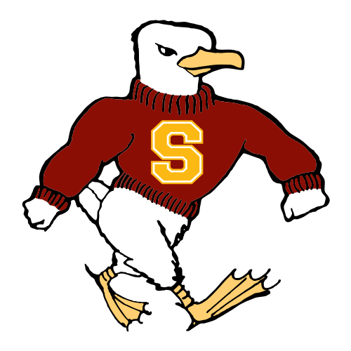 Salisbury Sea Gulls logo