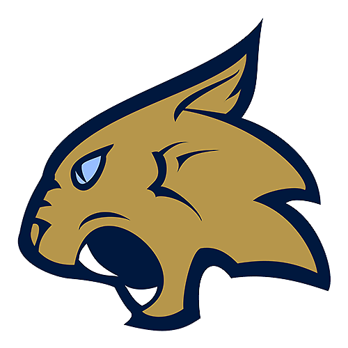 Thiel Tomcats logo