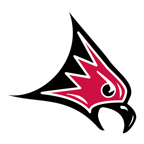 Wisconsin River Falls Falcons logo