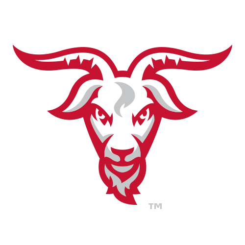 WPI Engineers logo