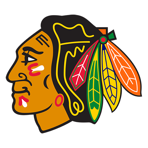 Chicago         Blackhawks logo